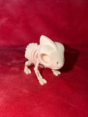 Chameleon Skeleton